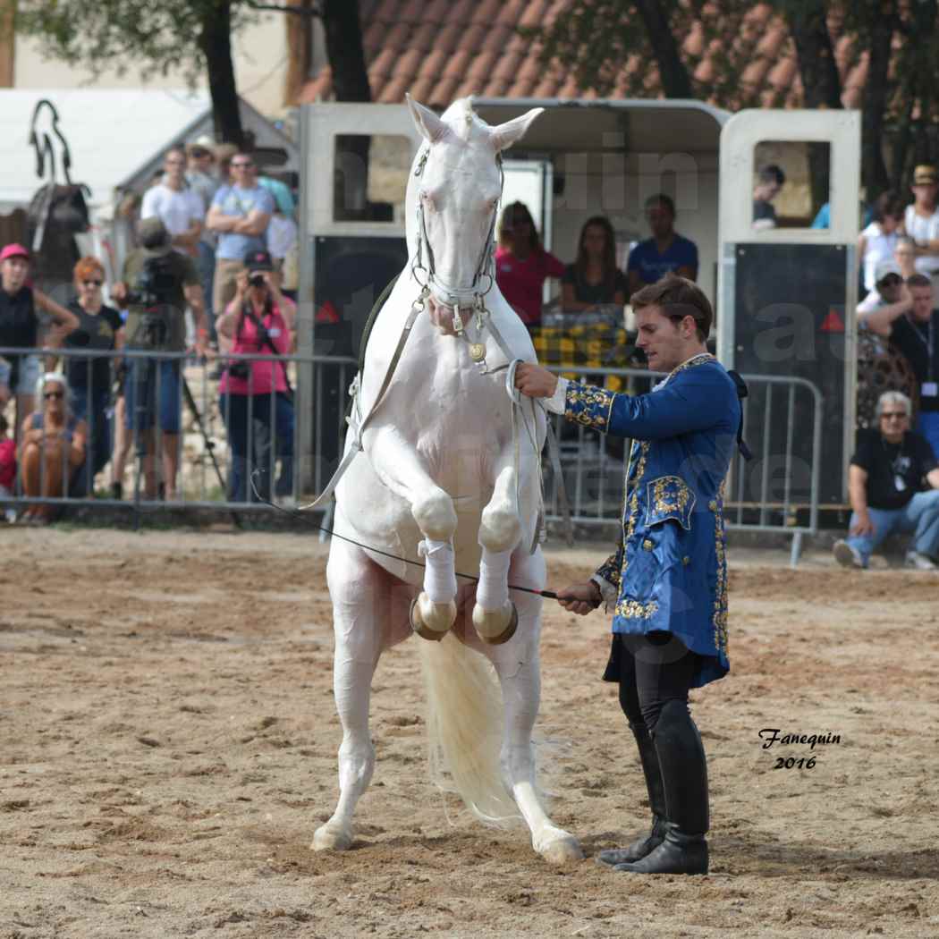 Spectacle équestre le 3 Septembre 2016 au Domaine de GAILLAC - Haute école avec la famille HASTALUEGO - 08