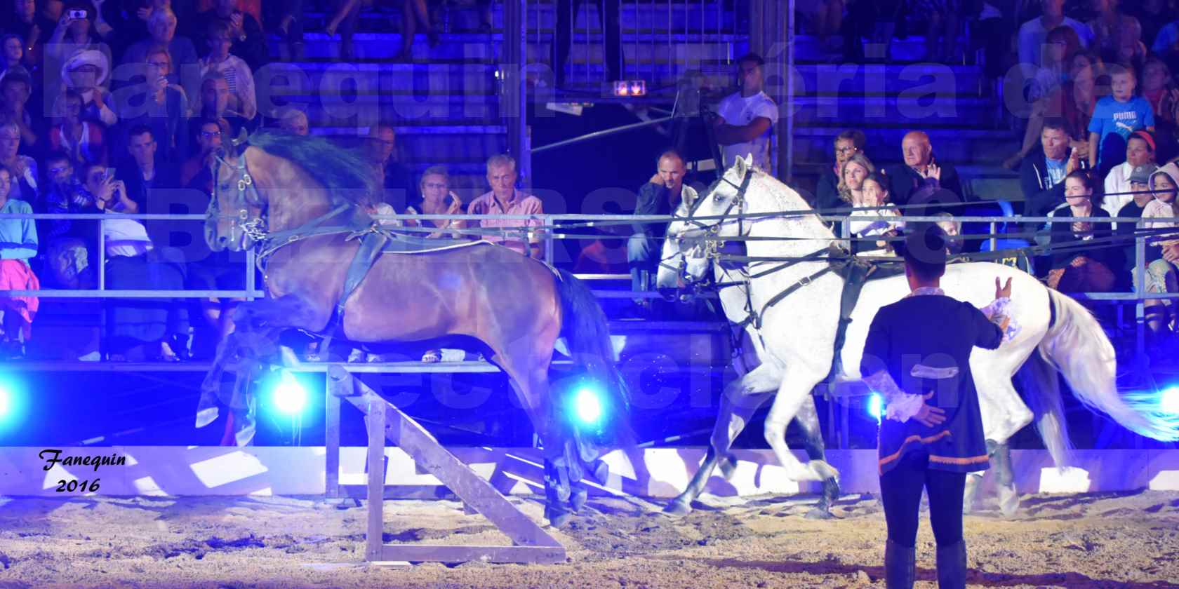 numéro de Poste HONGROISE avec 8 chevaux - Compagnie IMPULSION - Féria de BEZIERS 2016 - 1