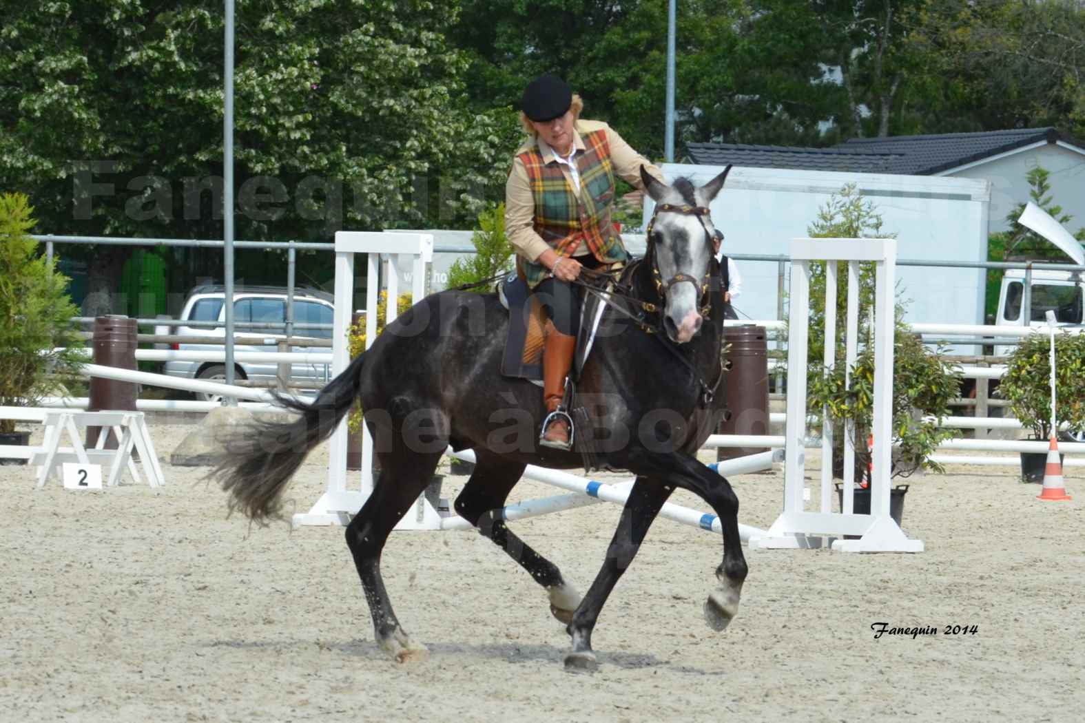 Salon Equitaine de Bordeaux en 2014 - concours Equitation de travail - Épreuve de Maniabilité chronométré - F - 12