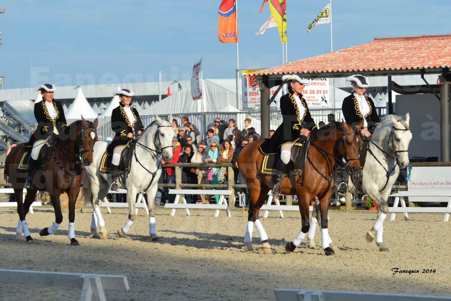 Carrousel de cavalières Equitation de travail lors du salon "Equitaine" à Bordeaux en 2014 - 04