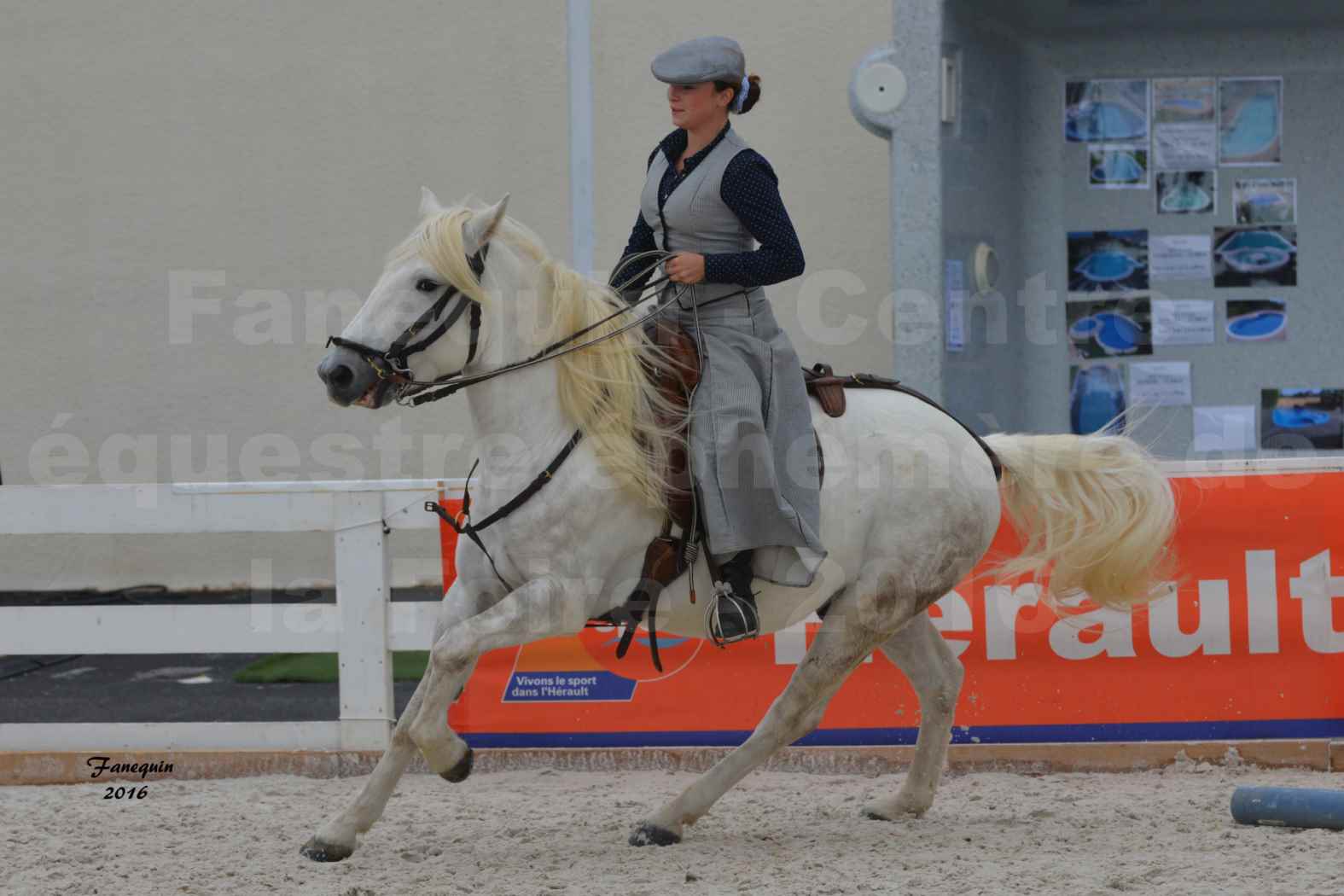 Centre équestre éphémère de la Foire de Montpellier 2016 - Dimanche 16 Octobre 2016 - Marie
