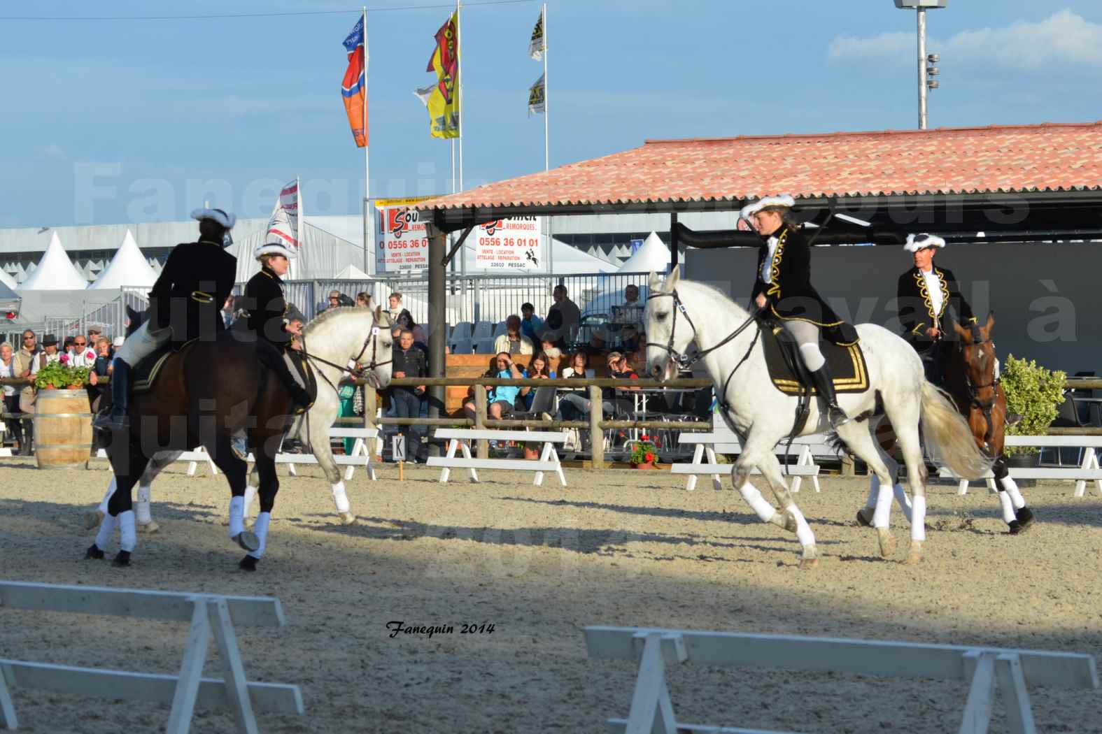 Carrousel de cavalières Equitation de travail lors du salon "Equitaine" à Bordeaux en 2014 - 52