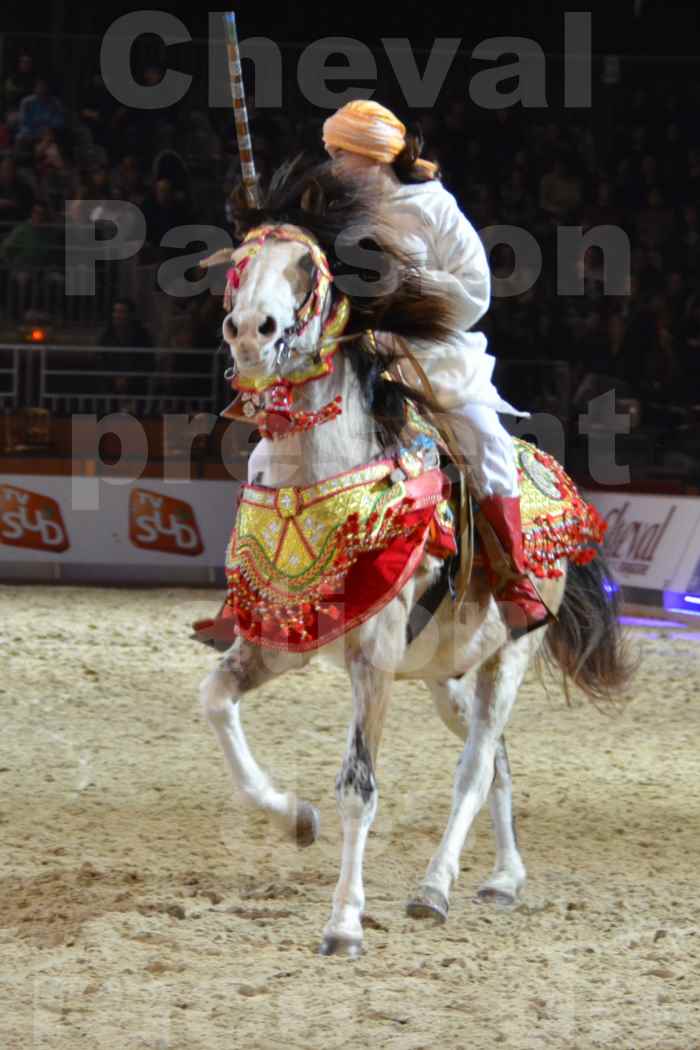 Cheval Passion 2014 - Chevaux BARBES - Notre Sélection - 28