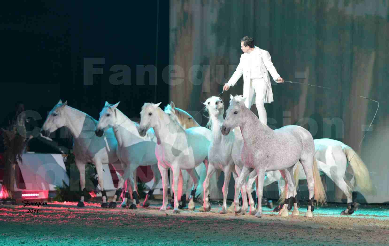 Cheval Passion 2016 - Spectacle les Crinières d'OR - LORENZO "Blanc" - représentation du 20 janvier 2016 - 31