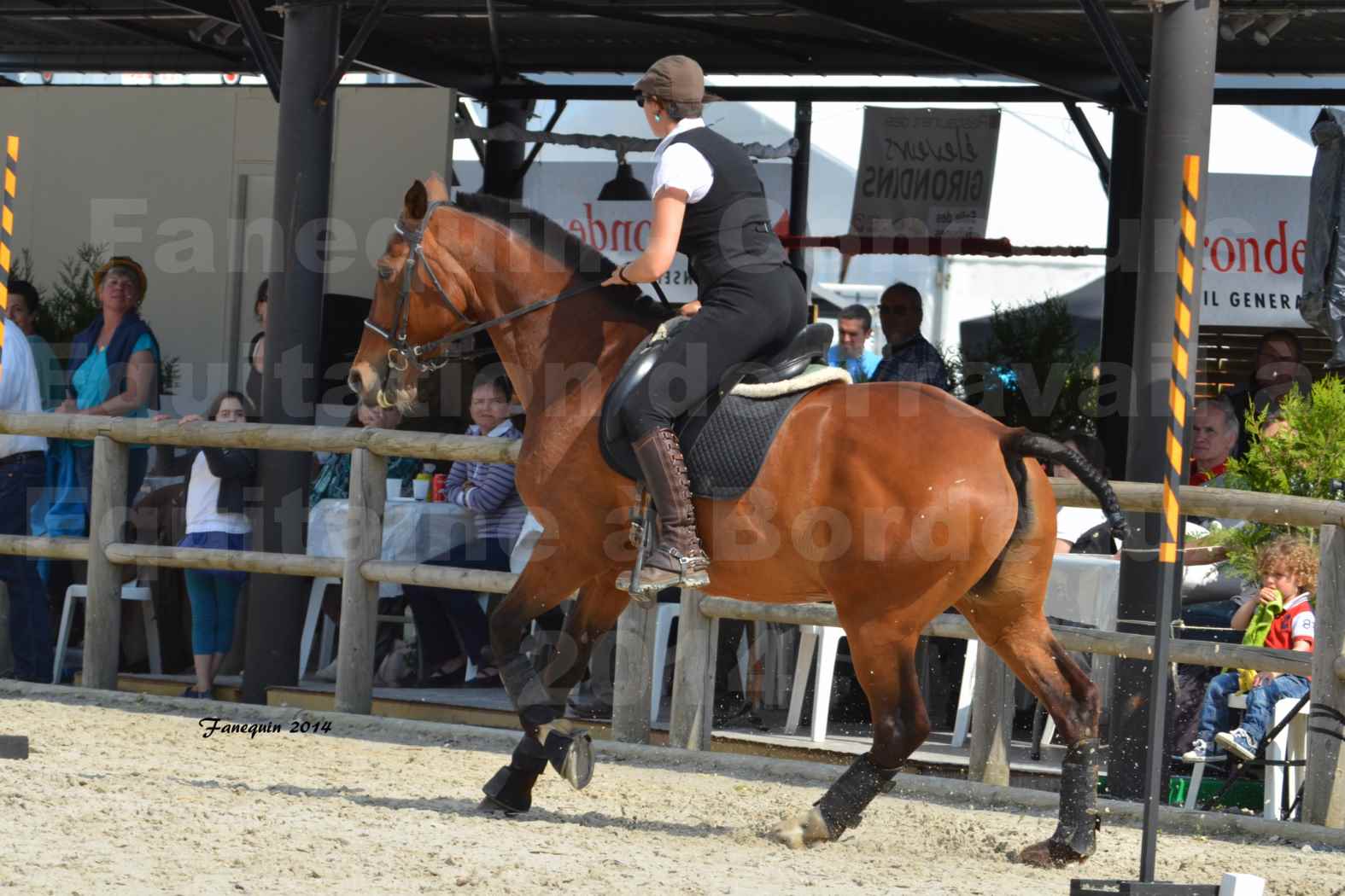 Salon Equitaine de Bordeaux en 2014 - concours Equitation de travail - Épreuve de Maniabilité chronométré - K - 2