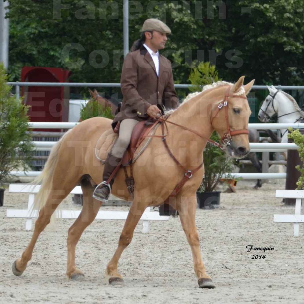 Salon Equitaine de Bordeaux en 2014 - concours Equitation de travail - Épreuve de Dressage - 1
