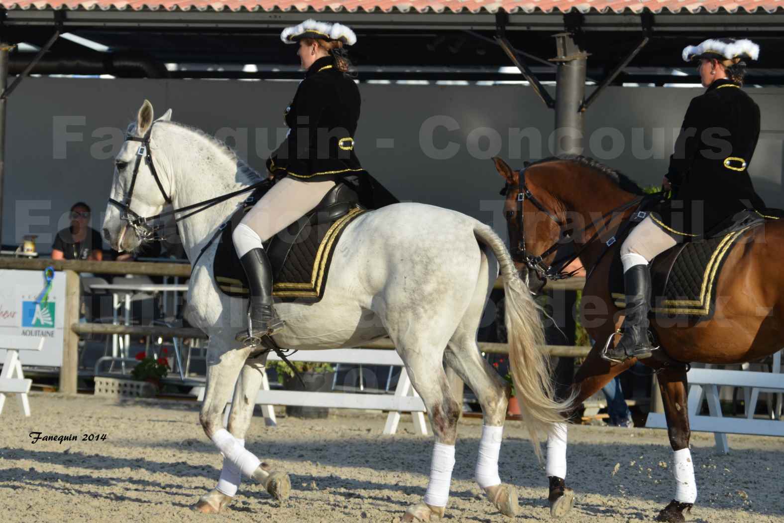 Carrousel de cavalières Equitation de travail lors du salon "Equitaine" à Bordeaux en 2014 - 64