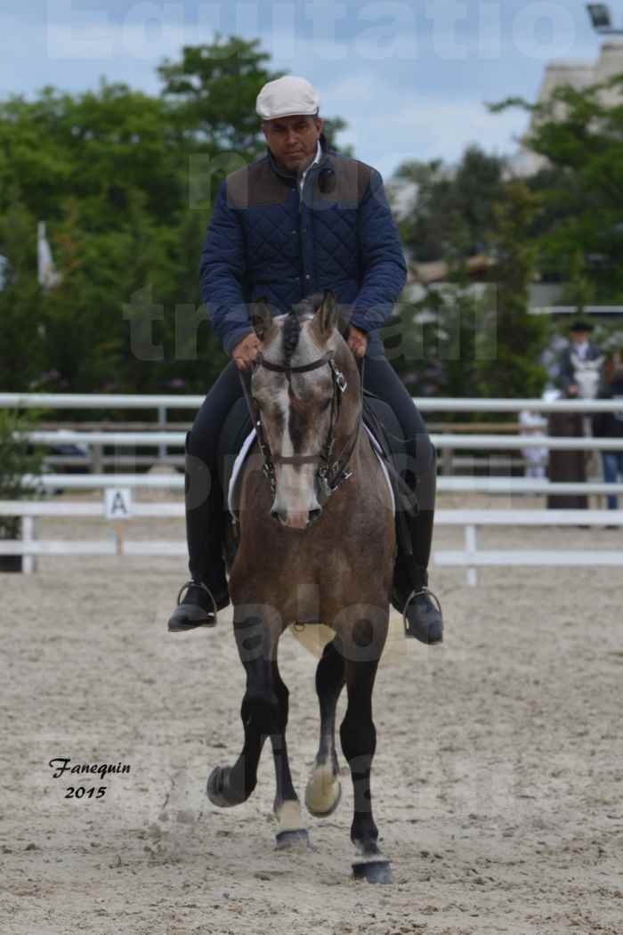 Salon Equitaine de Bordeaux 2015 - Concours d'Equitation de Travail avec chevaux Ibériques - L - 06