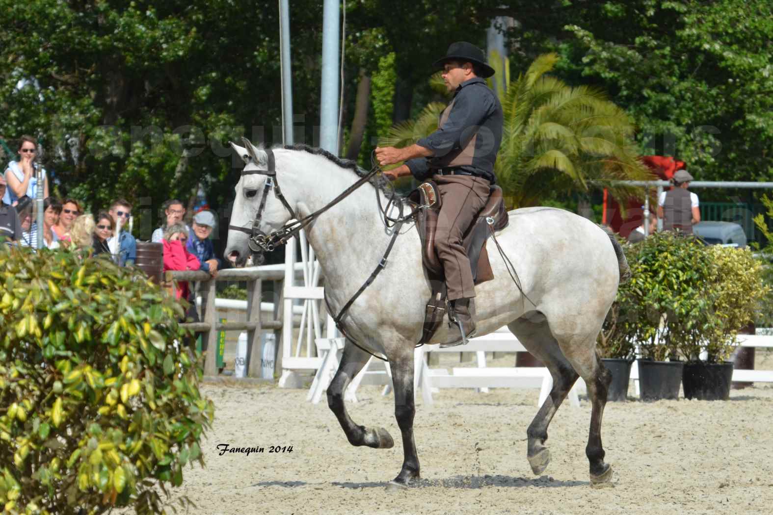 Salon Equitaine de Bordeaux en 2014 - concours Equitation de travail - Épreuve de Maniabilité chronométré - L - 5