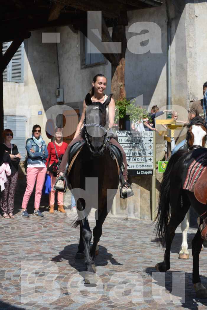 La Route Du Beaujolais 2015 - dimanche 24 mai 2015 - parcours et arrivée place d'un village - 49