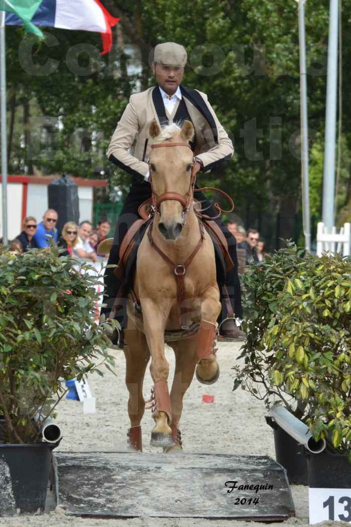 Salon Equitaine de Bordeaux en 2014 - concours Equitation de travail - Épreuve de Maniabilité chronométré - D - 15