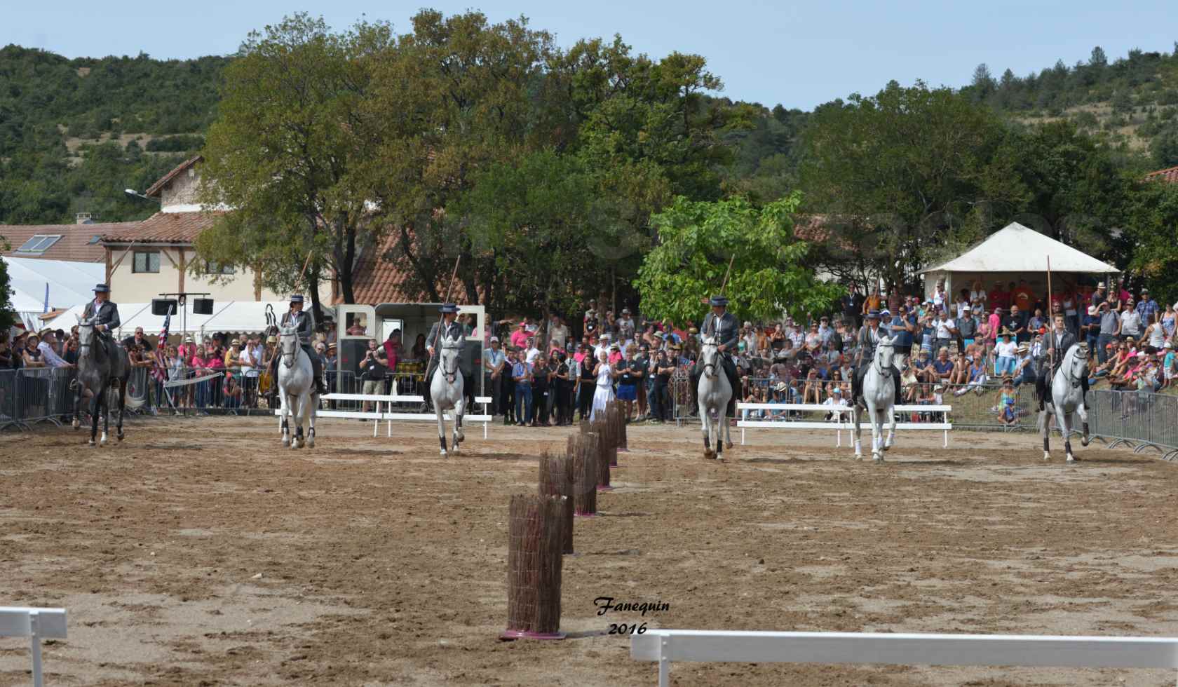 Spectacle équestre le 3 Septembre 2016 au Domaine de GAILLAC - Démonstration de CARROUSEL de chevaux LUSITANIENS - 10