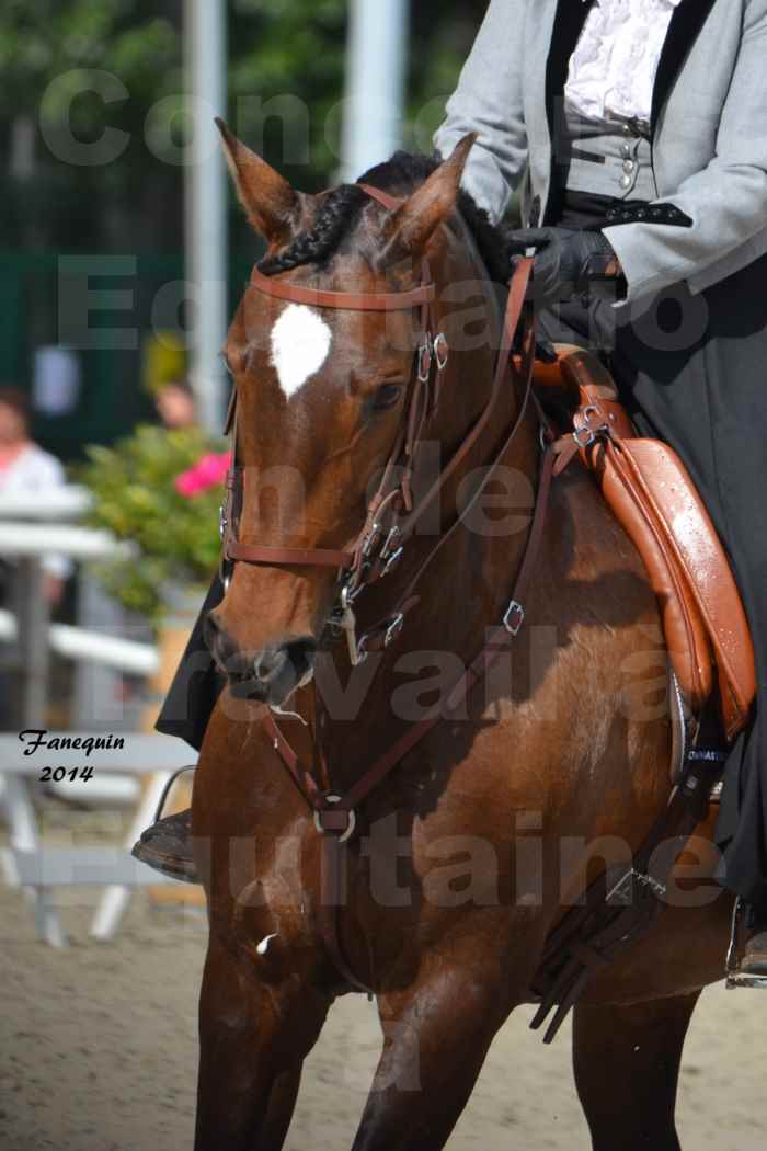 Salon Equitaine Bordeaux 2014 - Portraits de chevaux d'Equitation de travail - 82