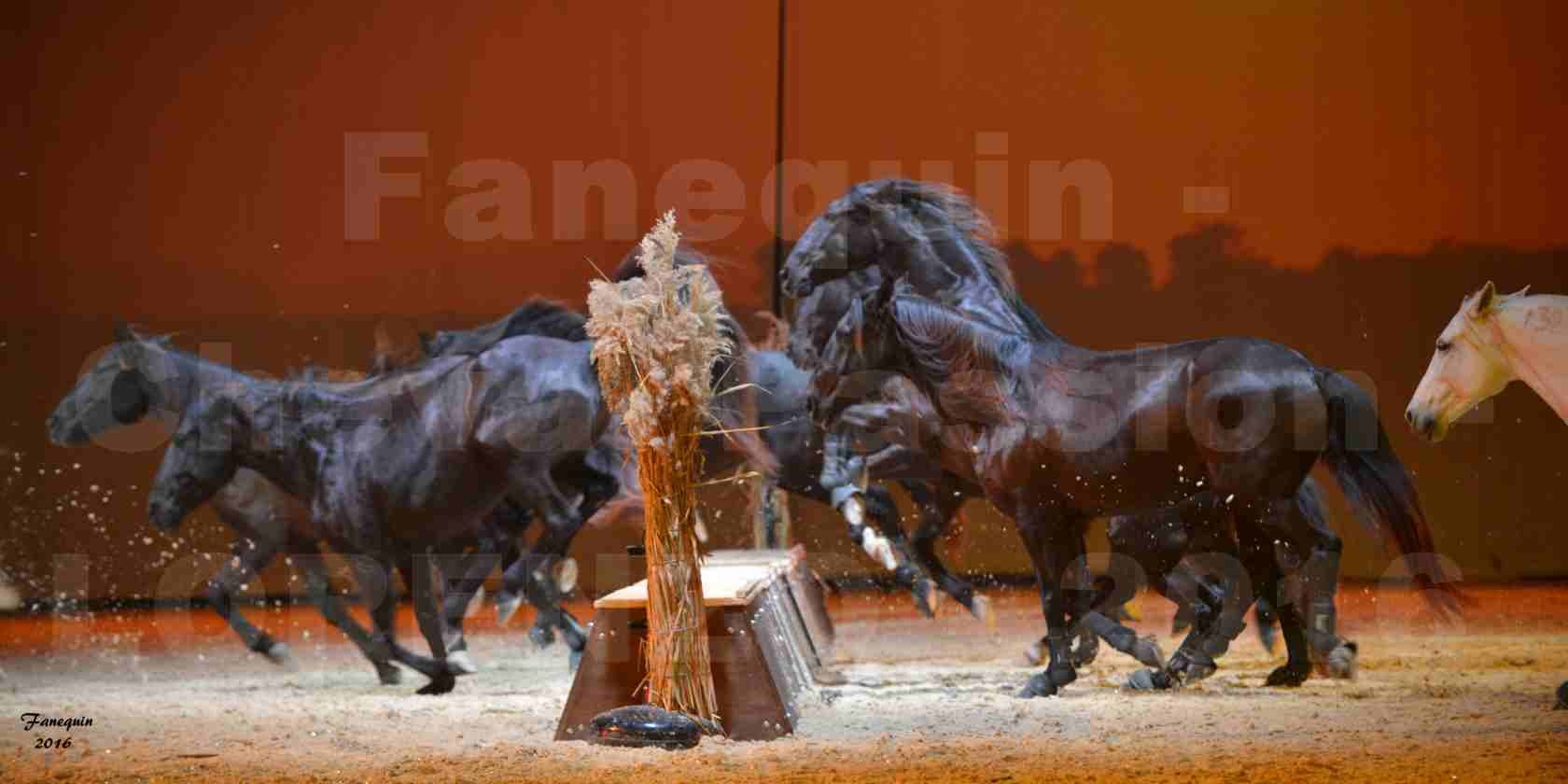 Cheval Passion 2016 - Spectacle les Crinières d'OR - LORENZO "Blanc" - représentation du 20 janvier 2016 - 39