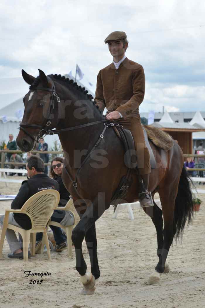 Salon Equitaine de Bordeaux 2015 - Concours d'Equitation de Travail avec chevaux Ibériques - J - 1