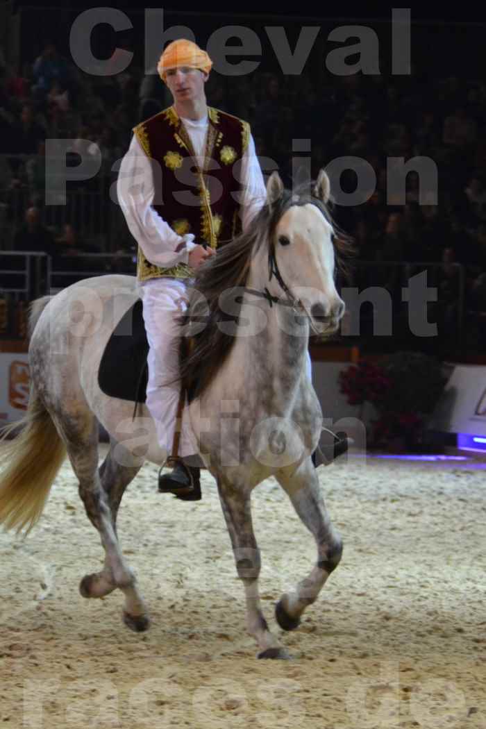 Cheval Passion 2014 - Chevaux BARBES - Notre Sélection - 22