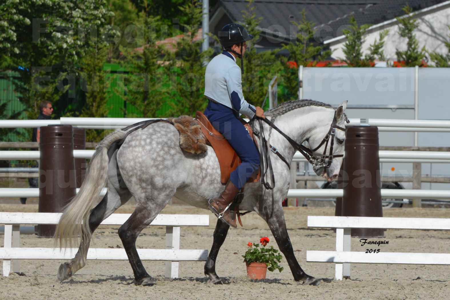 Salon Equitaine de Bordeaux 2015 - Concours d'Equitation de Travail avec chevaux Ibériques - S - 10