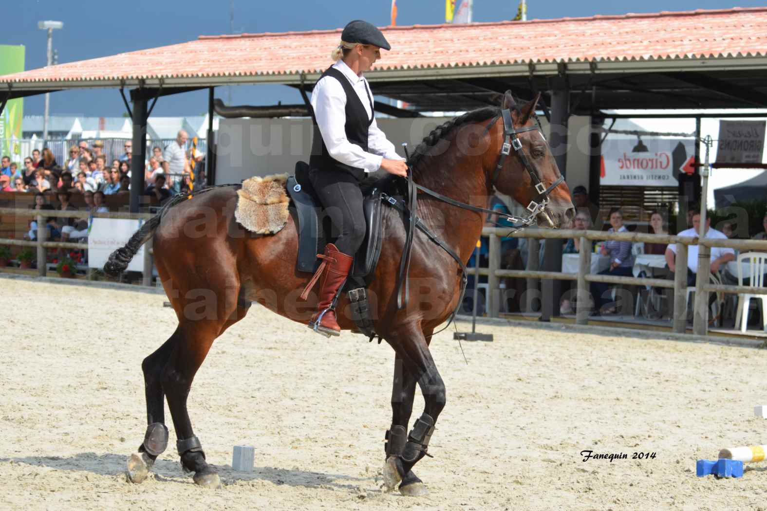 Salon Equitaine de Bordeaux en 2014 - concours Equitation de travail - Épreuve de Maniabilité chronométré - E - 02