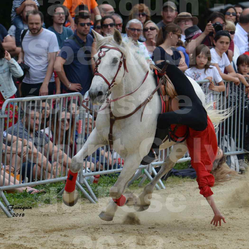 Spectacle Équestre le 3 juin 2018 à Saint Gély du Fesc - Voltige équestre - Troupe de Jean Antoine FIRMIN - 56