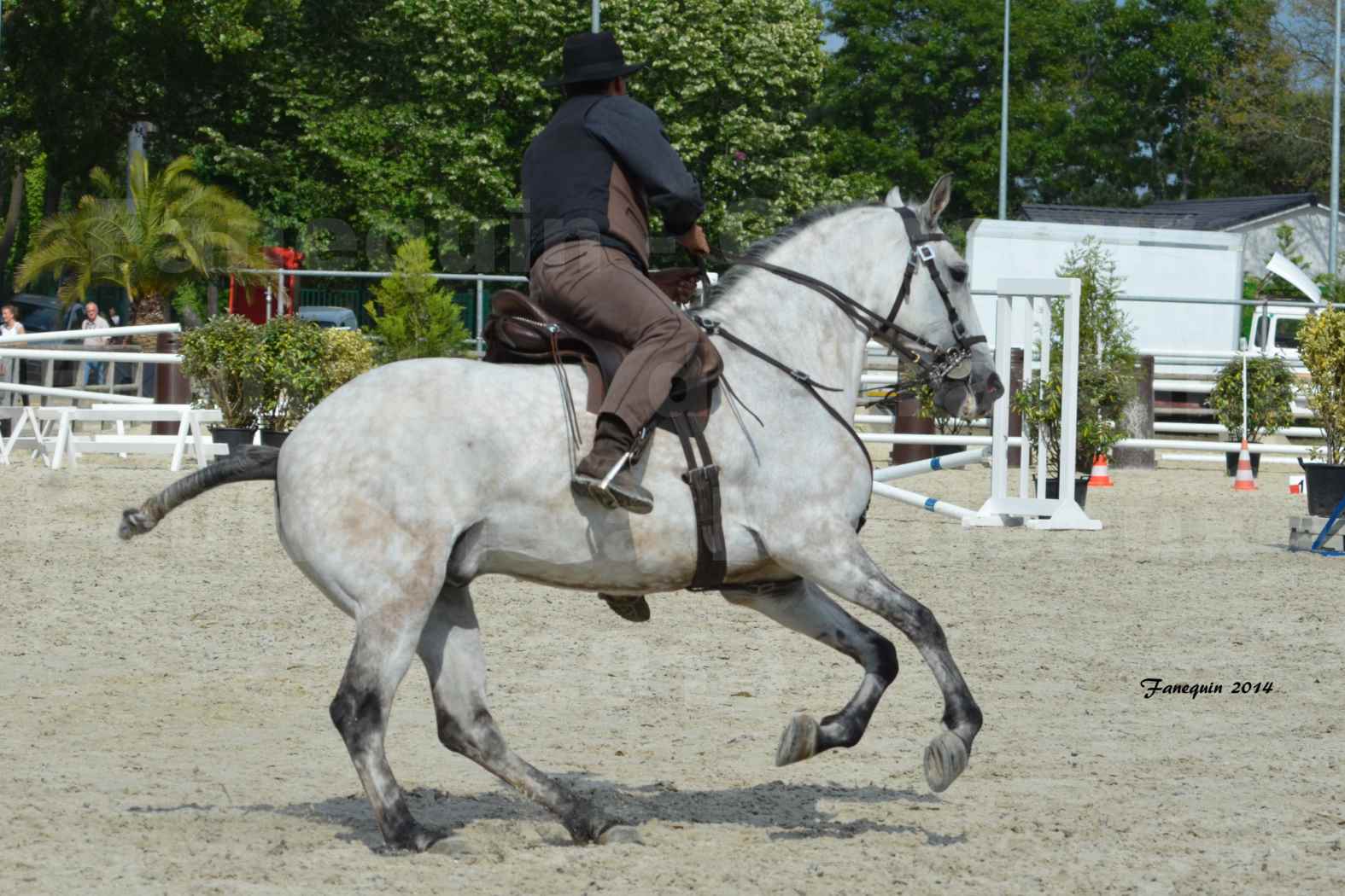 Salon Equitaine de Bordeaux en 2014 - concours Equitation de travail - Épreuve de Maniabilité chronométré - L - 11