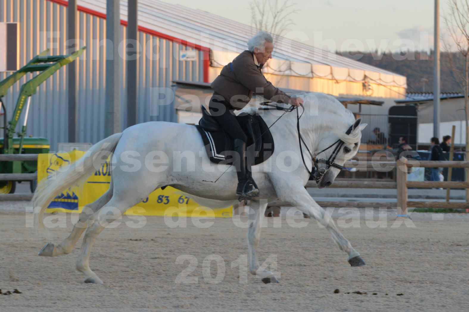 Cheval Passion 2014 - Etalon "GALAN"  blanc écurie Alain LAUZIER - Notre Sélection - 25