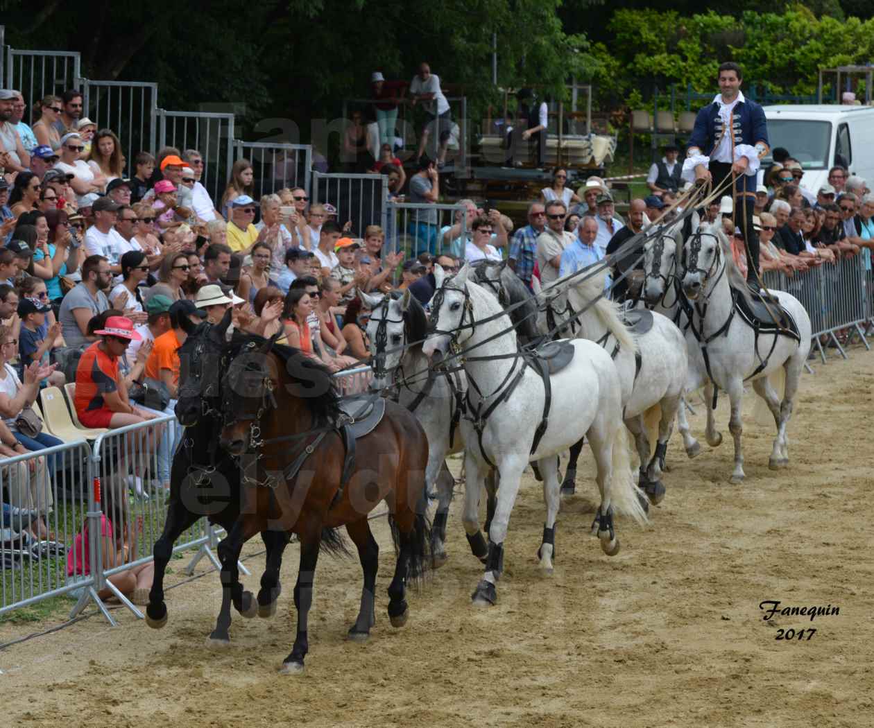 numéro de Poste HONGROISE avec 8 chevaux - Compagnie IMPULSION - Salon Pêche Chasse Nature à Saint Gély du Fesc juin 2017 - 08