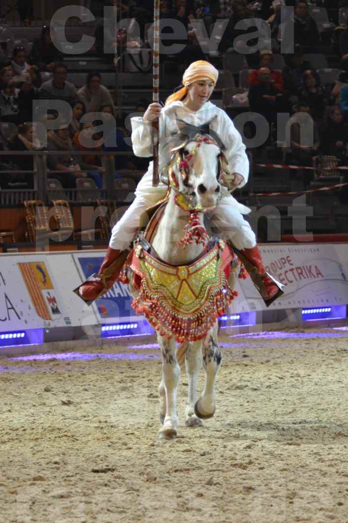 Cheval Passion 2014 - Chevaux BARBES - Notre Sélection - 20