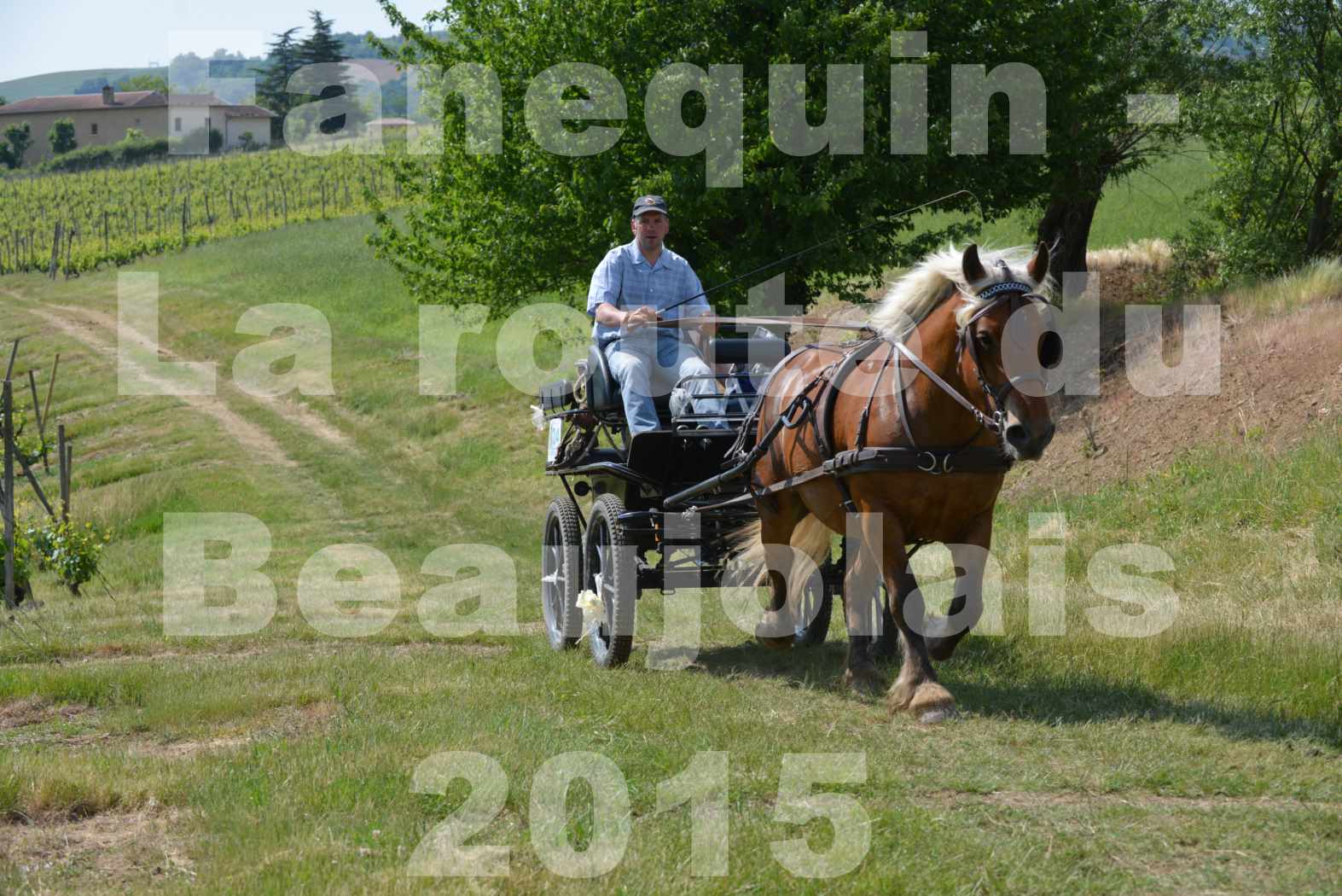 La Route Du Beaujolais 2015 - dimanche 24 mai 2015 - parcours en matinée - 79