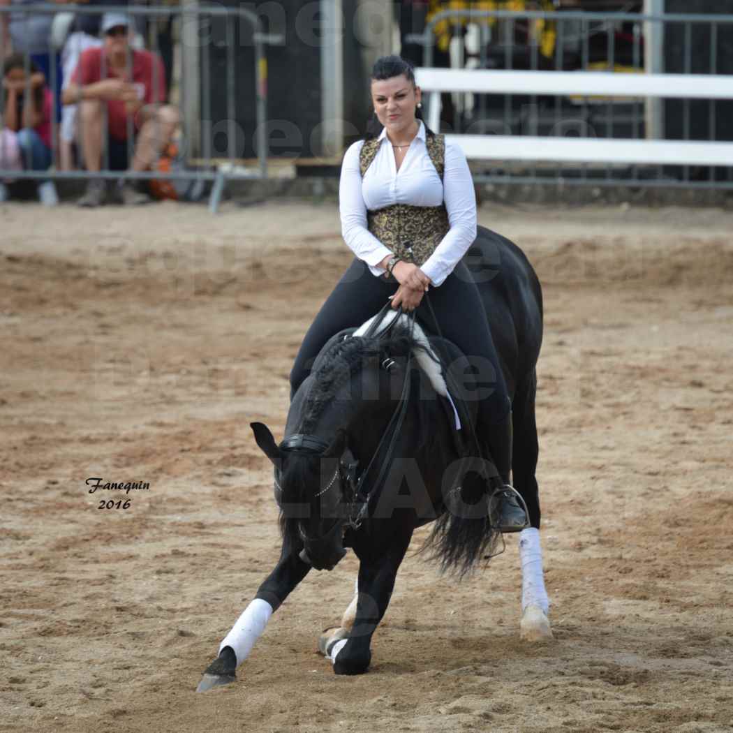 Spectacle équestre le 4 Septembre 2016 au Domaine de GAILLAC - Cavalières HASTALUEGO en reprise - 9