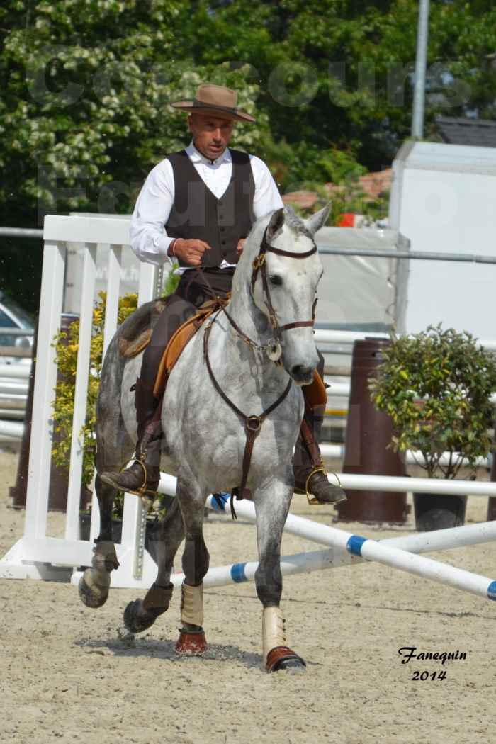 Salon Equitaine de Bordeaux en 2014 - concours Equitation de travail - Épreuve de Maniabilité chronométré - P - 23