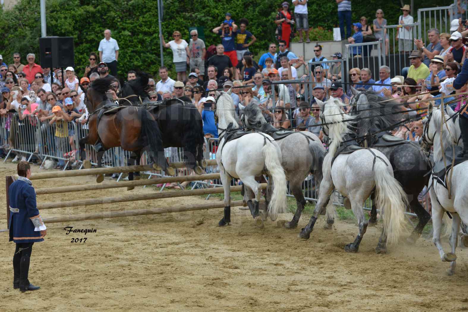 numéro de Poste HONGROISE avec 8 chevaux - Compagnie IMPULSION - Salon Pêche Chasse Nature à Saint Gély du Fesc juin 2017 - 10