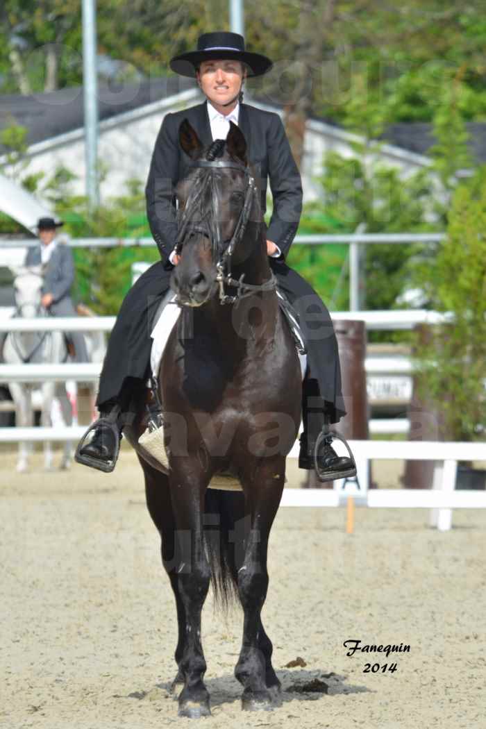 Salon Equitaine de Bordeaux en 2014 - concours Equitation de travail - Épreuve de Dressage - 01