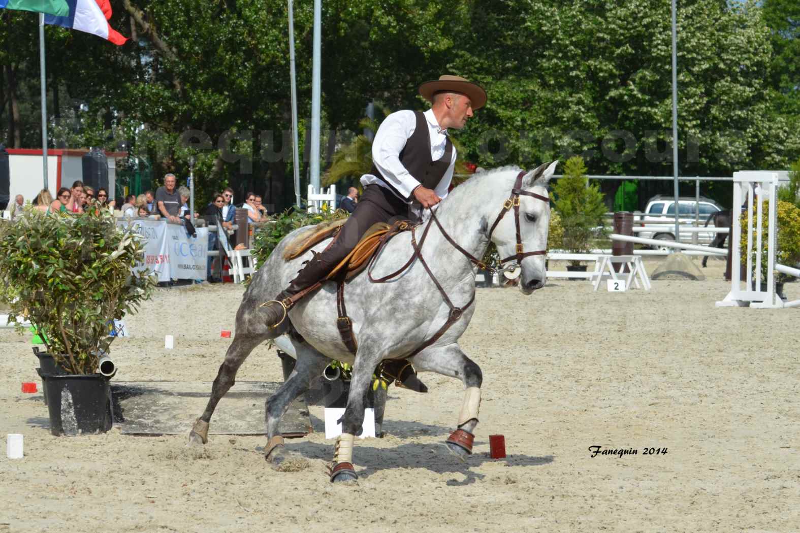 Salon Equitaine de Bordeaux en 2014 - concours Equitation de travail - Épreuve de Maniabilité chronométré - P - 42