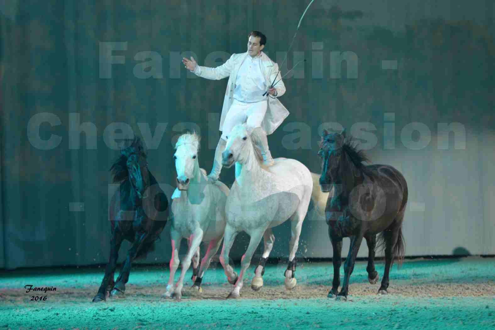 Cheval Passion 2016 - Spectacle les Crinières d'OR - LORENZO "Blanc" - représentation du 23 janvier 2016 - 21