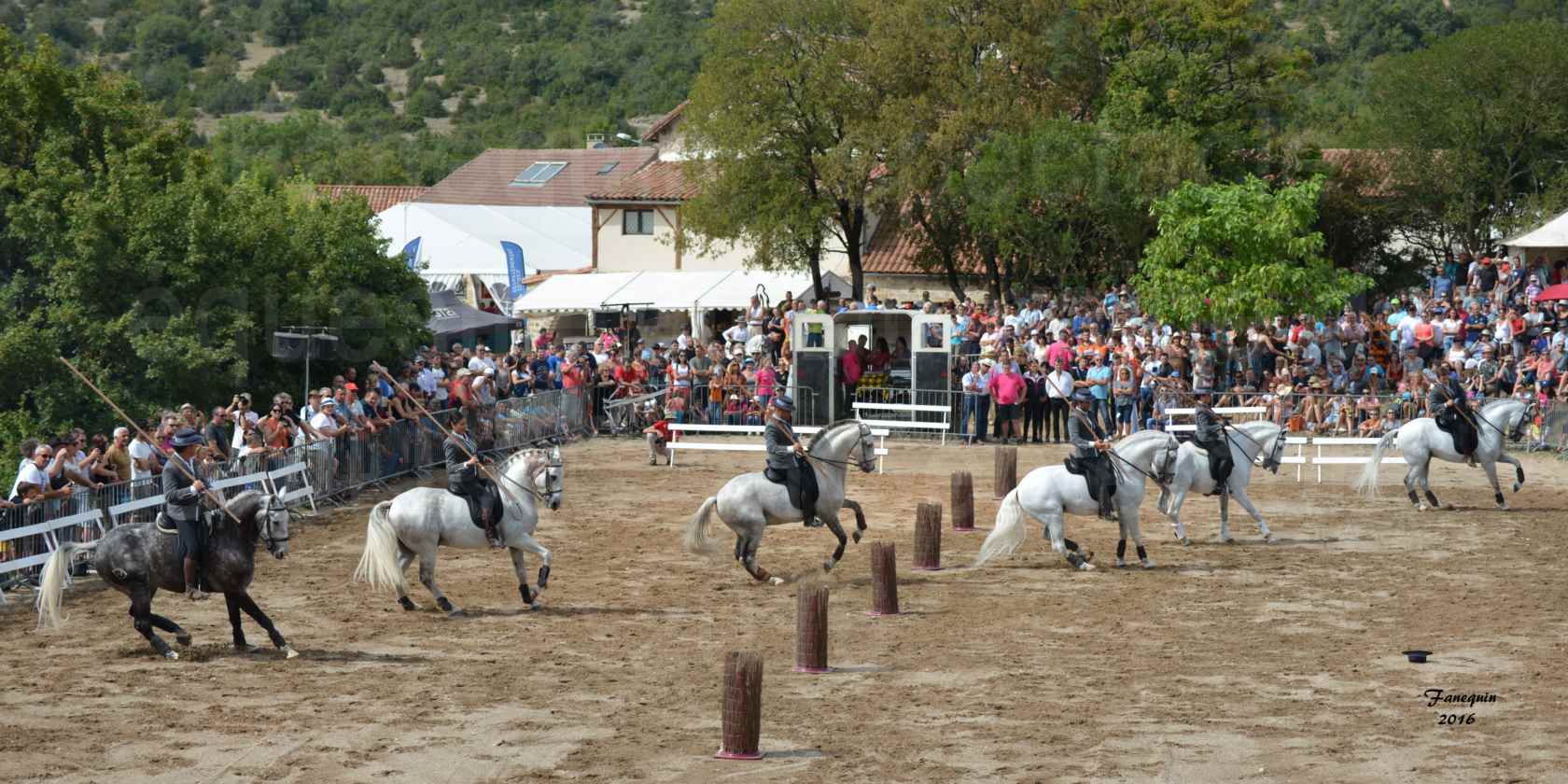 Spectacle équestre le 4 Septembre 2016 au Domaine de GAILLAC - Démonstration de CARROUSEL de chevaux LUSITANIENS - 23
