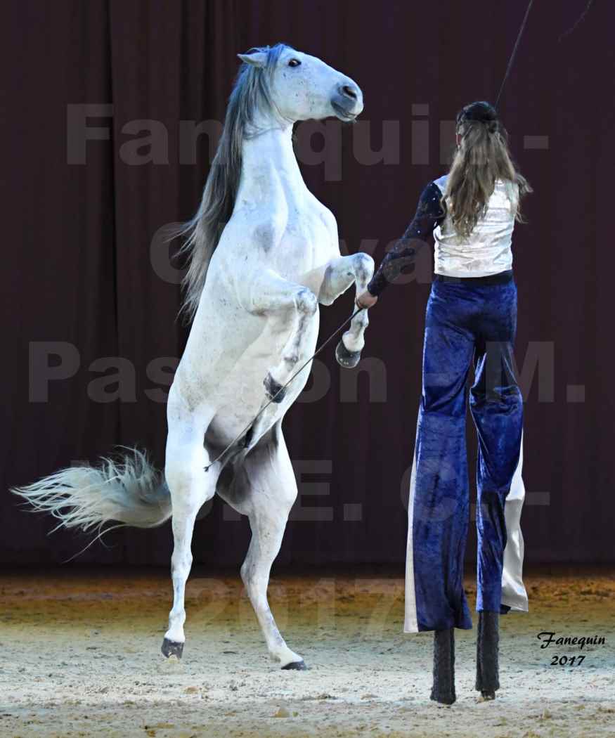 Cheval Passion 2017 - M. I. S. E. C. - Lucie VAUTHIER & 3 chevaux en liberté - 14