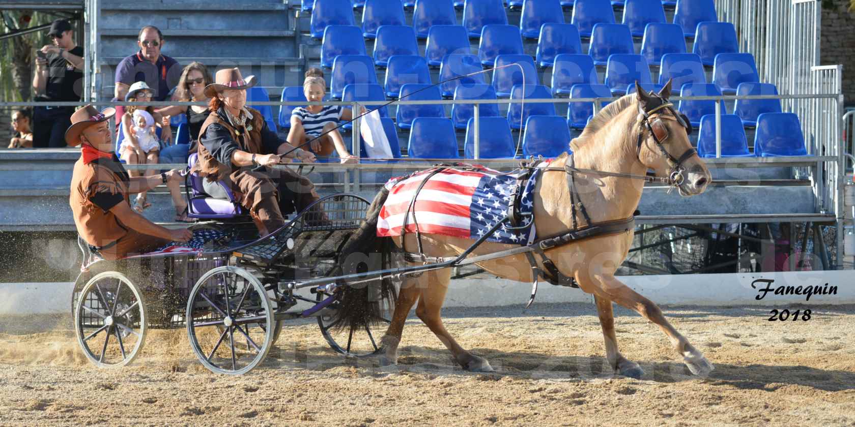 Spectacle en journée des "Nuits Équestres"  de la Féria de BÉZIERS 2018 - Mercredi 15 Août - ATTELAGE en simple "Western" - 6