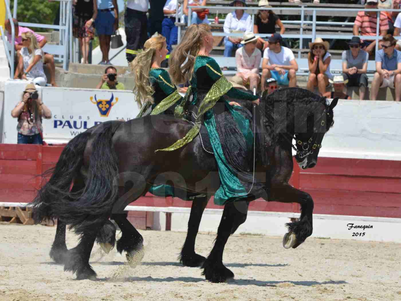 Féria du cheval à Méjanes en 2015 - Sylvie WILLMS - 12