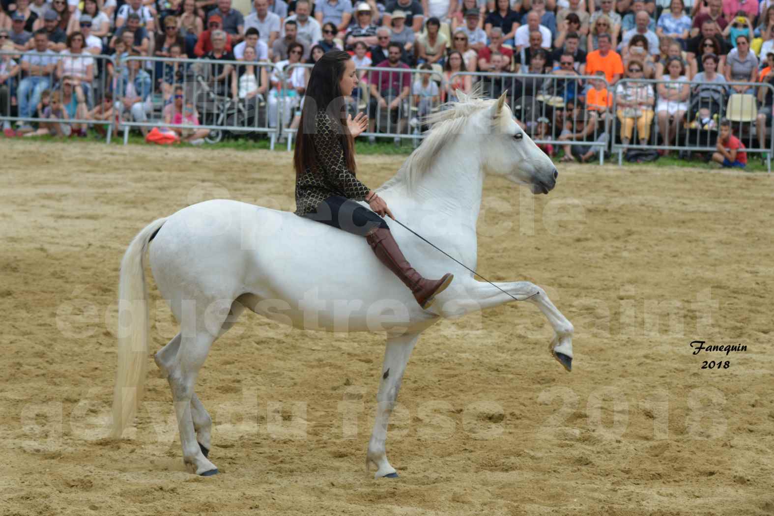 Spectacle Équestre le 3 juin 2018 à Saint Gély du Fesc - 5 chevaux en liberté - Anne Gaëlle BERTHO - 03