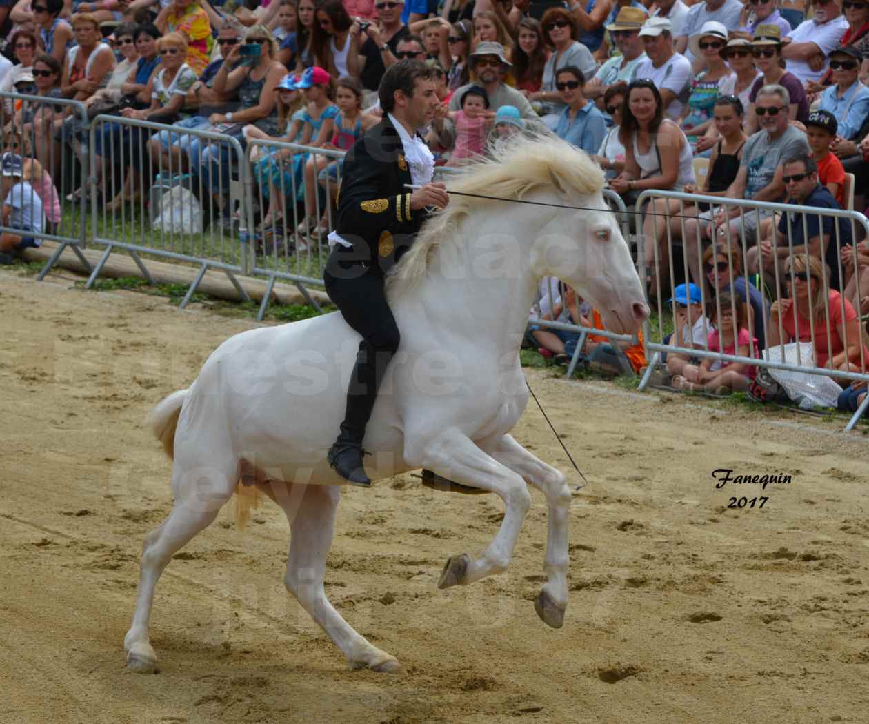 Spectacle Équestre - Salon Pêche Chasse Nature à Saint Gely du Fesc - 