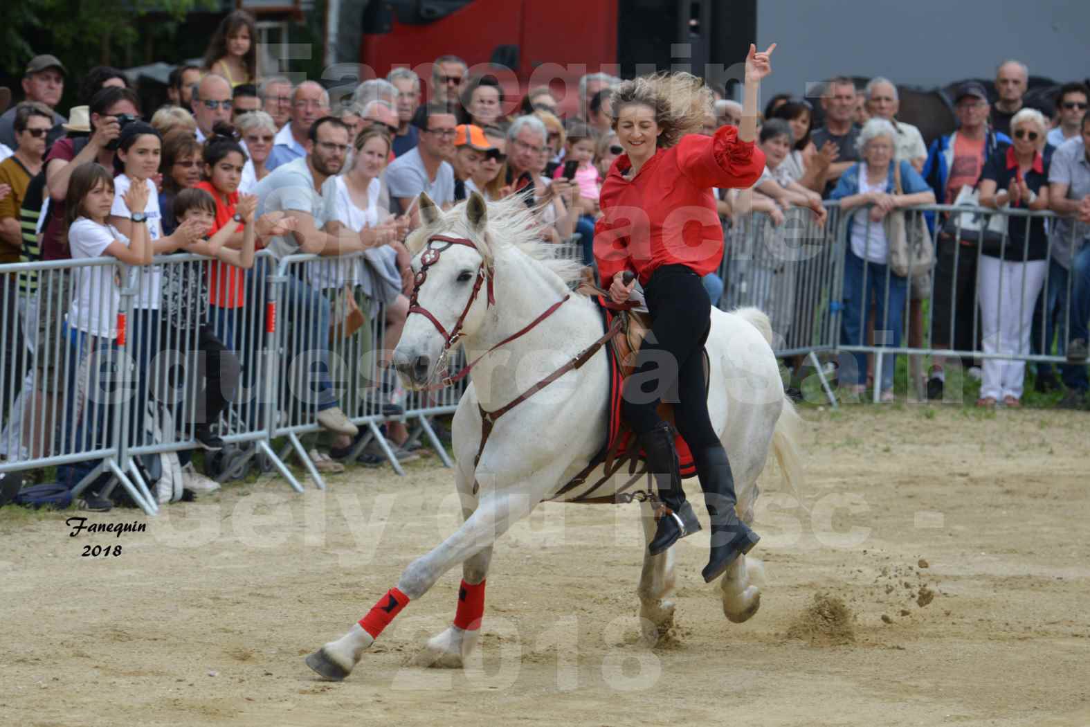 Spectacle Équestre le 3 juin 2018 à Saint Gély du Fesc - Voltige équestre - Troupe de Jean Antoine FIRMIN - 12