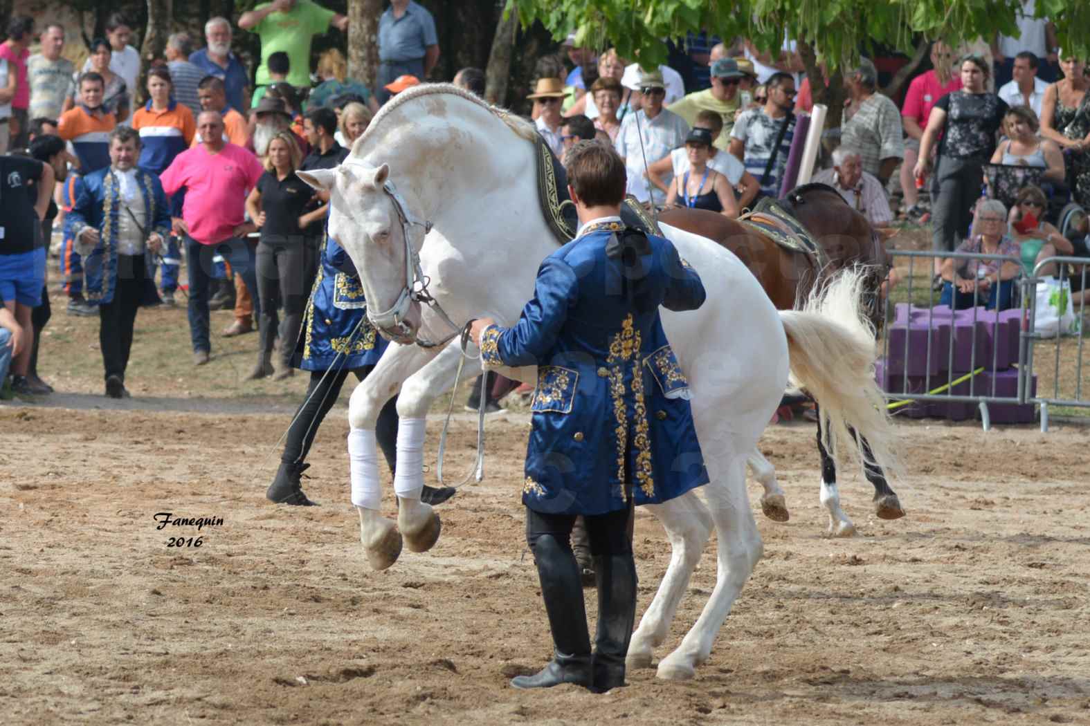 Spectacle équestre le 3 Septembre 2016 au Domaine de GAILLAC - Haute école avec la famille HASTALUEGO - 07