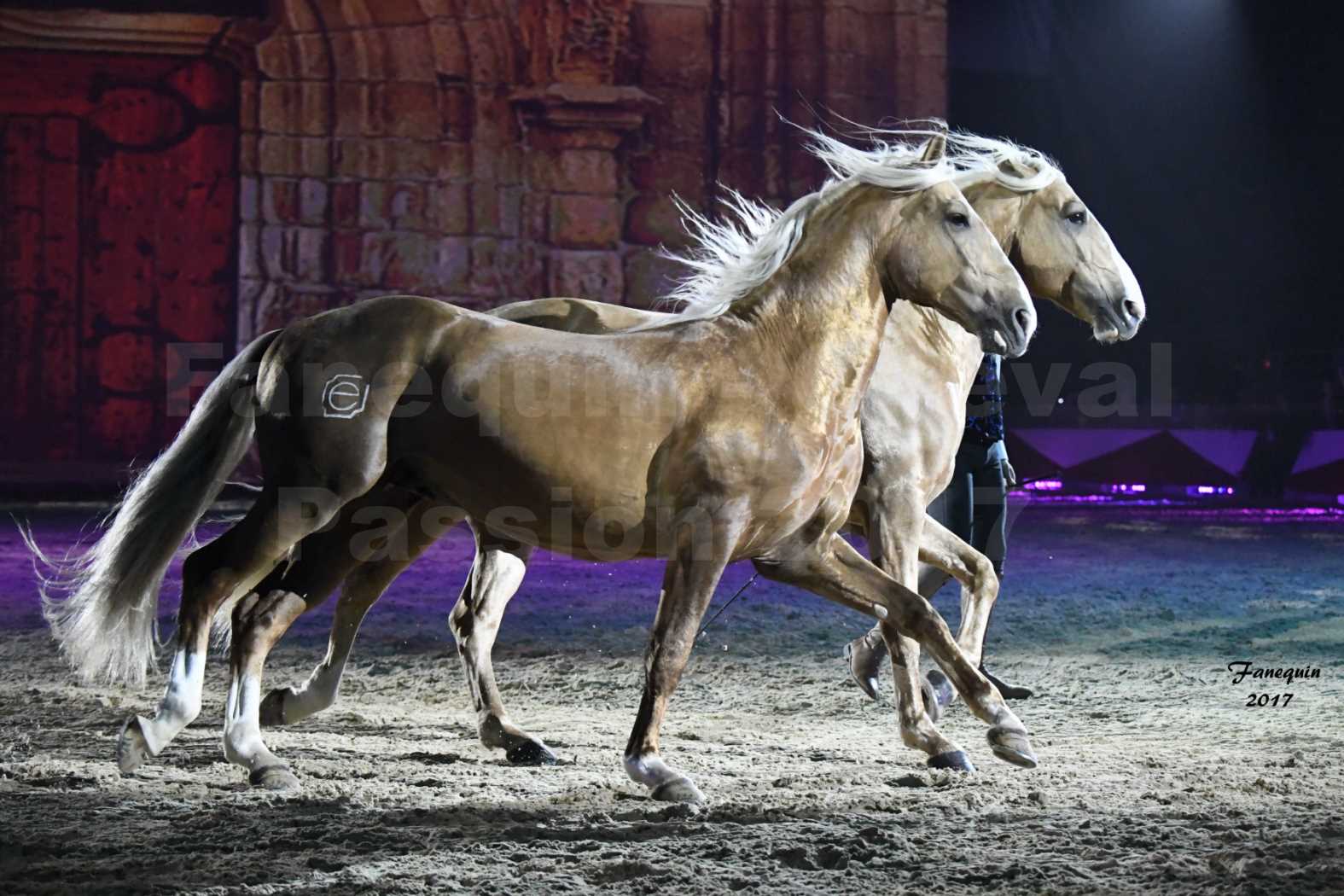 Cheval Passion 2017 - gala des Crinières d'OR - GARI ZOHER - 01