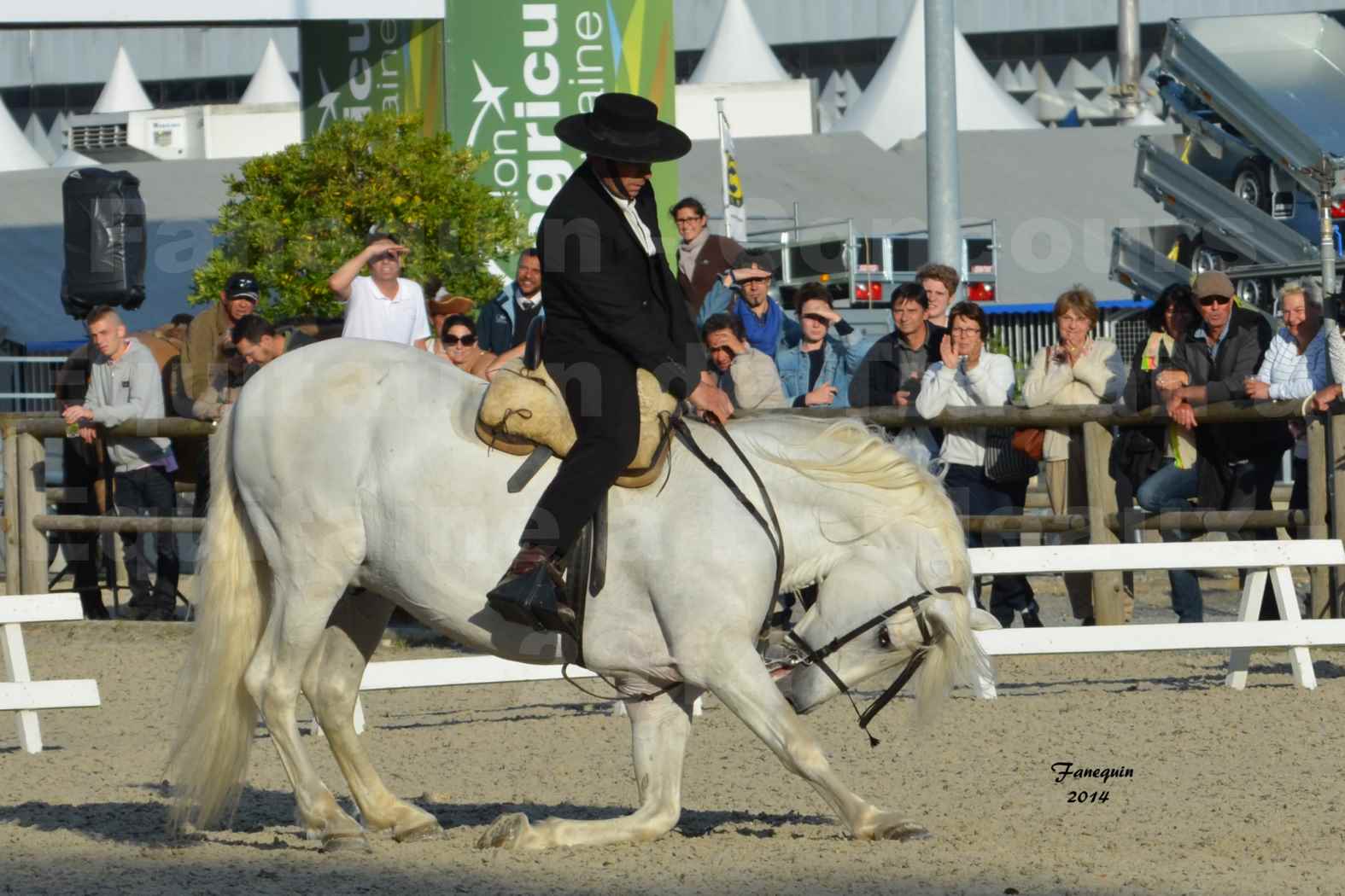 Salon Equitaine de Bordeaux en 2014 - concours Equitation de travail - Épreuve de Dressage - 09