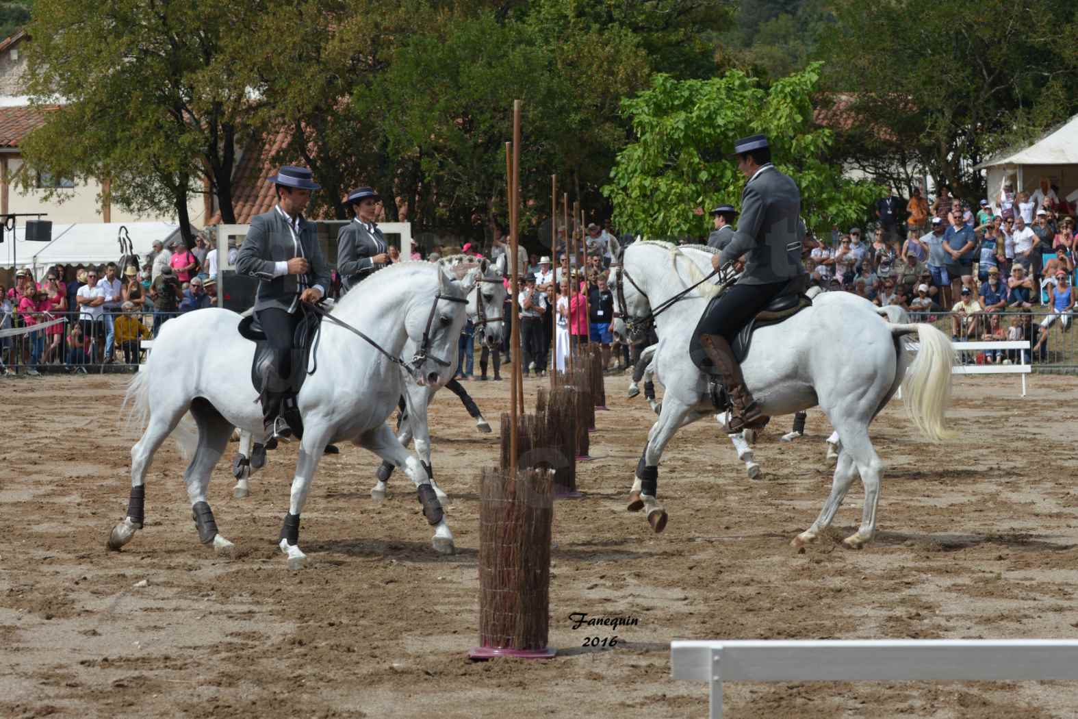 Spectacle équestre le 3 Septembre 2016 au Domaine de GAILLAC - Démonstration de CARROUSEL de chevaux LUSITANIENS - 05