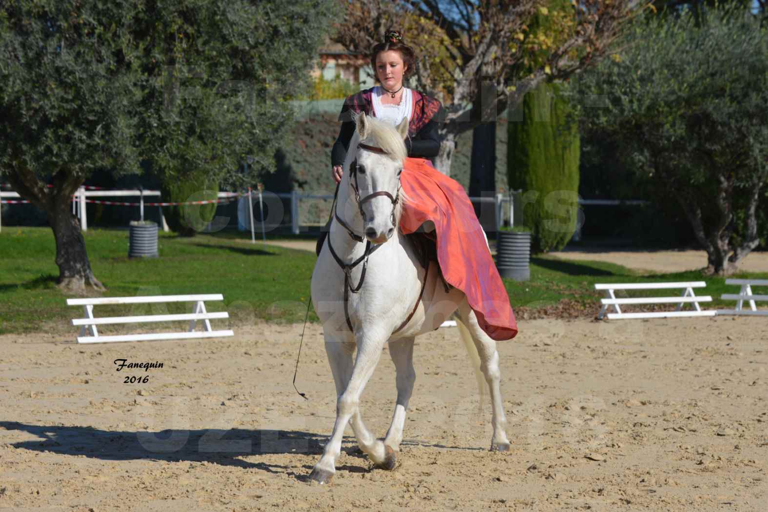 Concours Élégance d'Amazone au Haras d'UZES en Octobre 2016 - Léa CONTE - 09