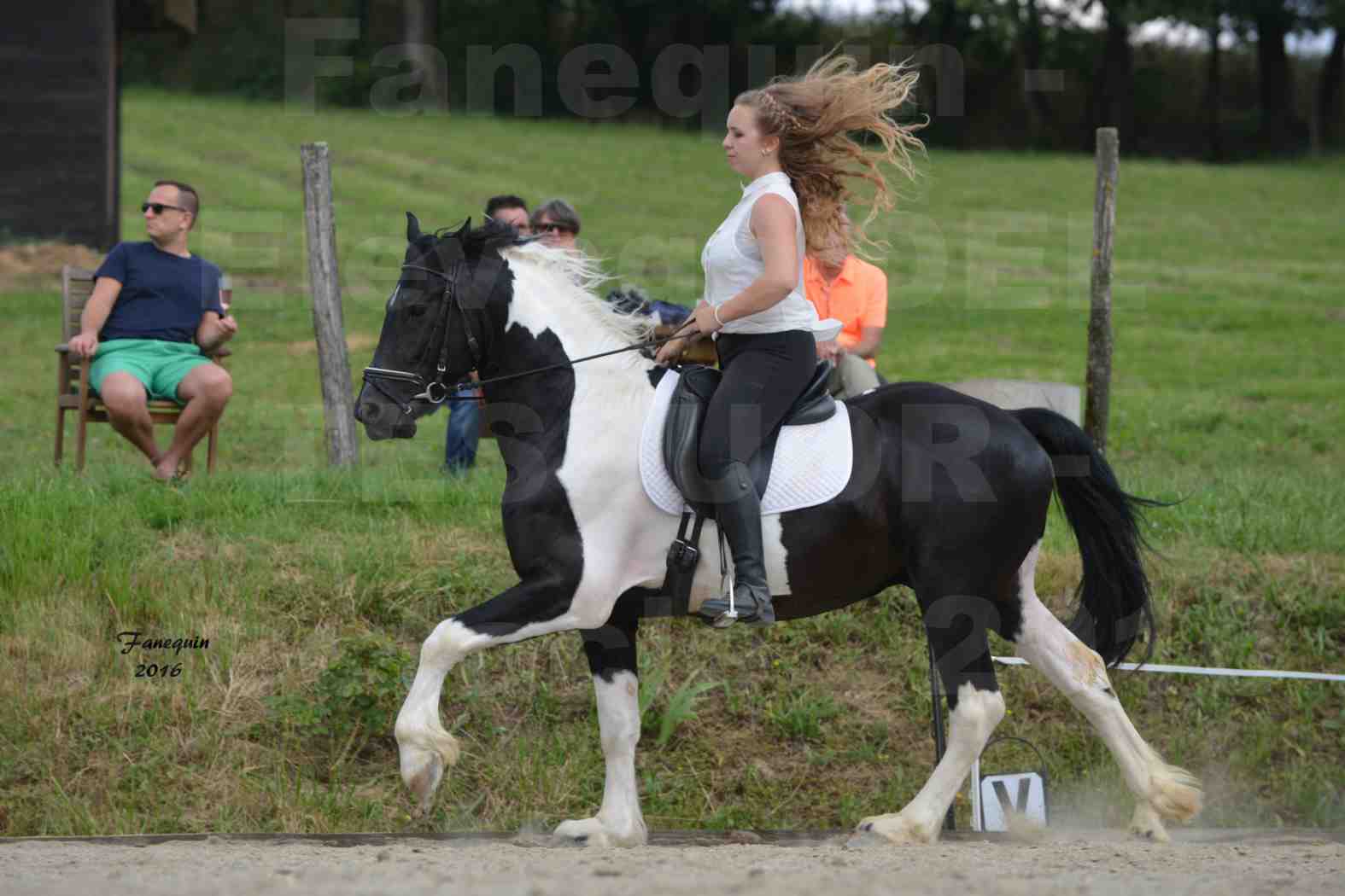 Spectacle de chevaux PRE chez Frédérique VIGNE - 31