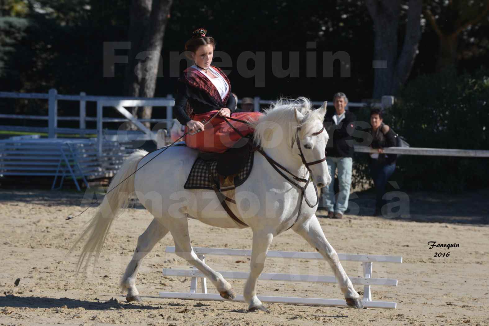 Concours Élégance d'Amazone au Haras d'UZES en Octobre 2016 - Léa CONTE - 02