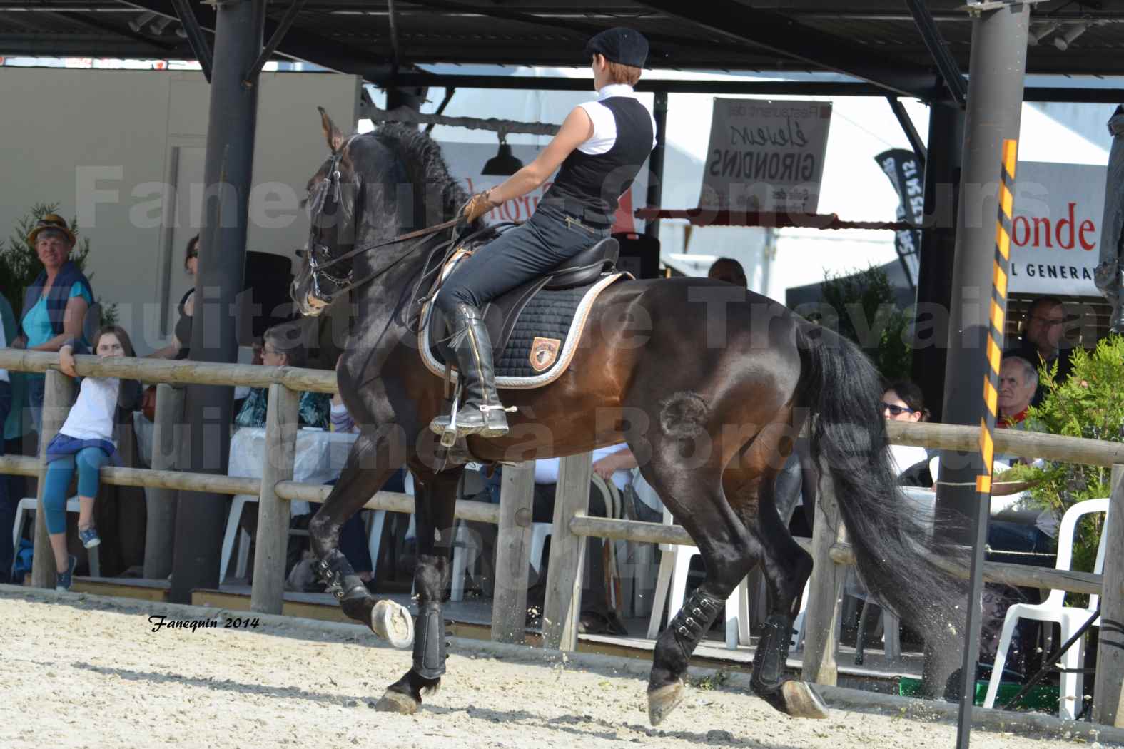 Salon Equitaine de Bordeaux en 2014 - concours Equitation de travail - Épreuve de Maniabilité chronométré - M - 03
