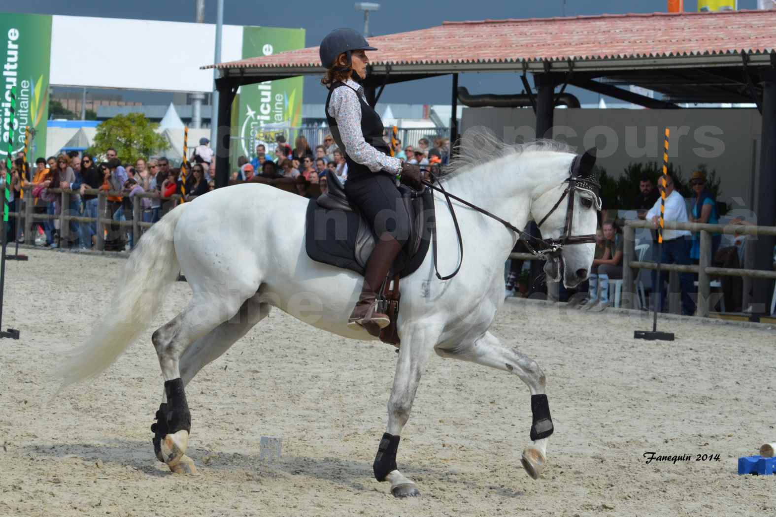 Salon Equitaine de Bordeaux en 2014 - concours Equitation de travail - Épreuve de Maniabilité chronométré - G - 2